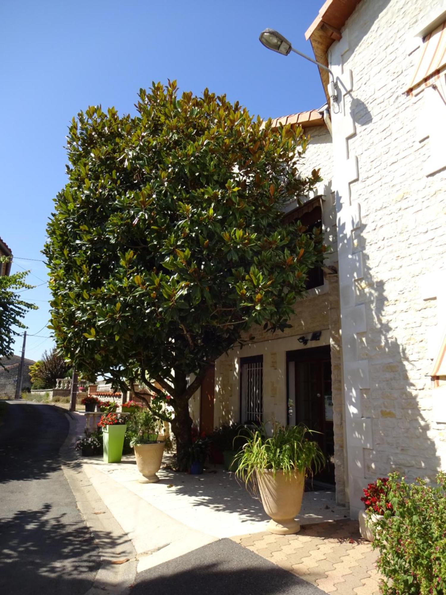 Hotel Aux Orangers Luxé Esterno foto